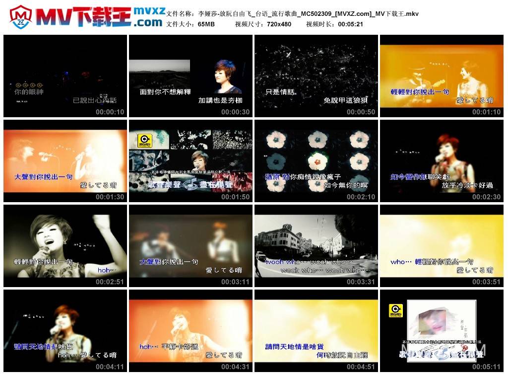 李娅莎-放阮自由飞_台语_流行歌曲_MC502309